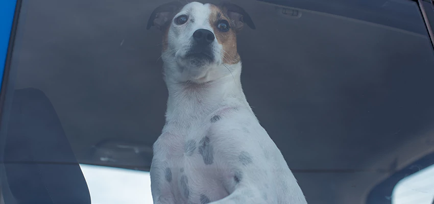 Car Lockout Solutions in Claremont, California